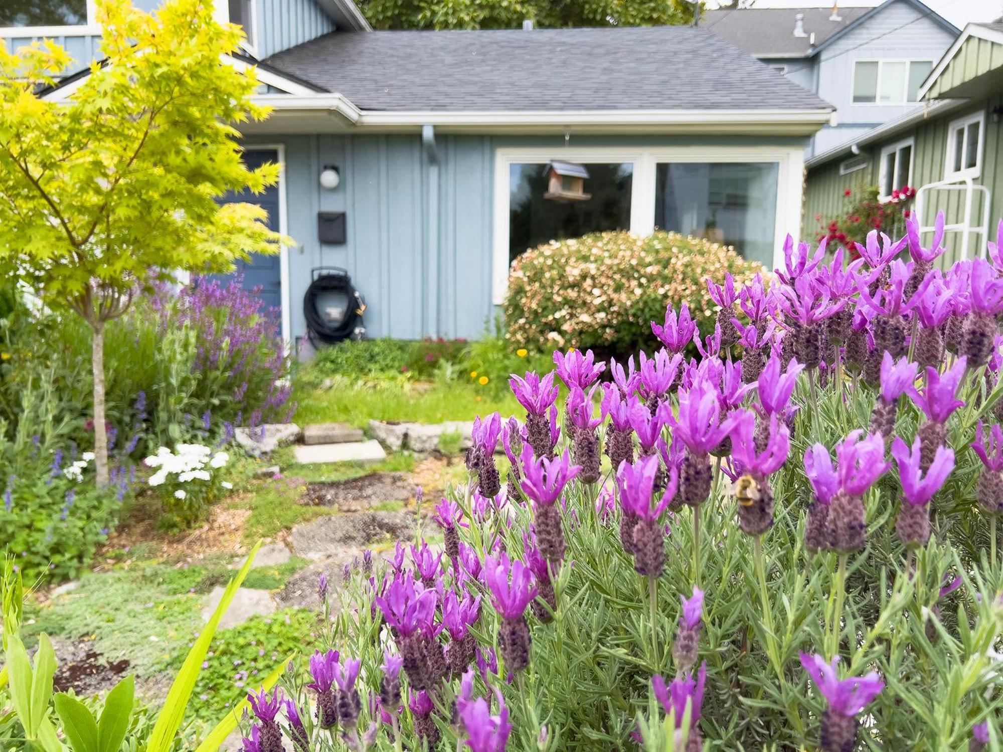 Magnolia Garden Cottage Seattle Exterior foto