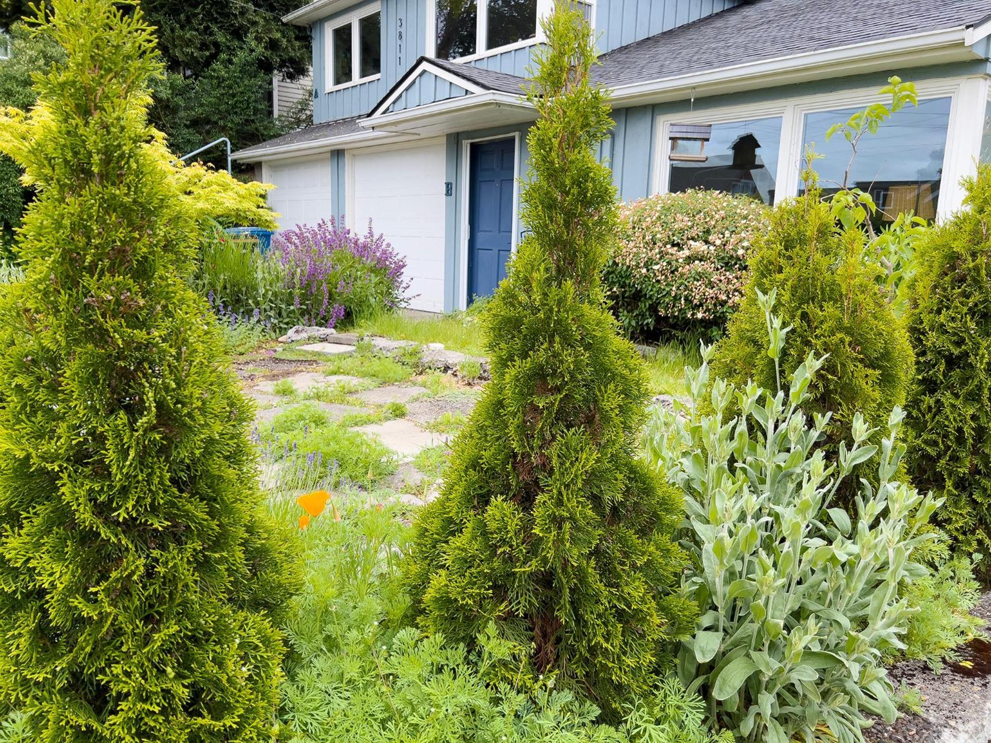 Magnolia Garden Cottage Seattle Exterior foto